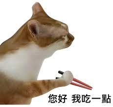 🇹🇼豪豪 tweet media