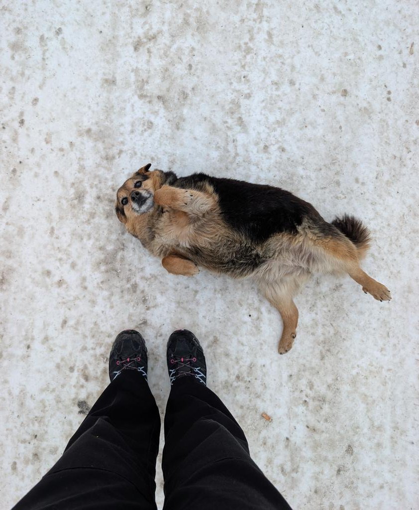 авантюристенятко tweet media