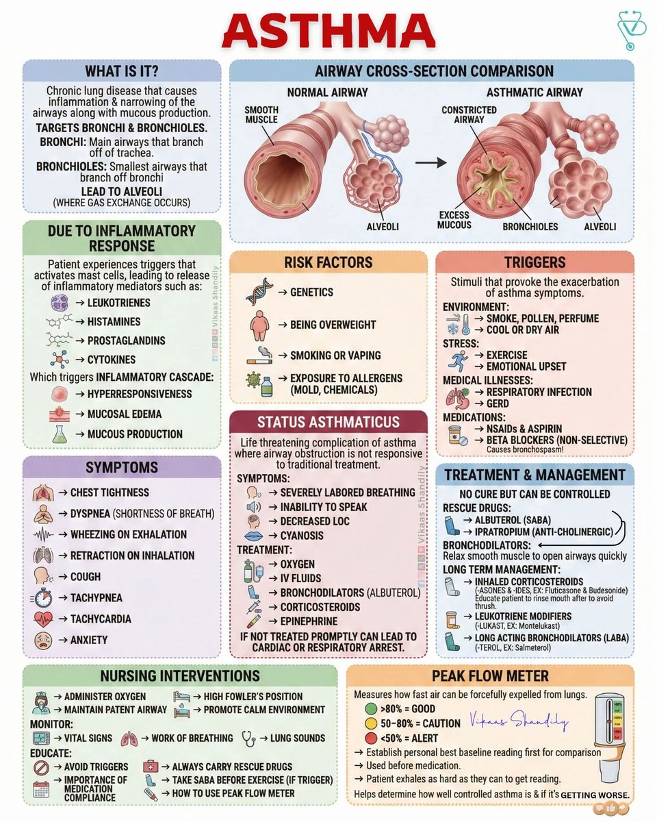 maxamedcyx's tweet photo. Asthma https://t.co/0p8znbqExh