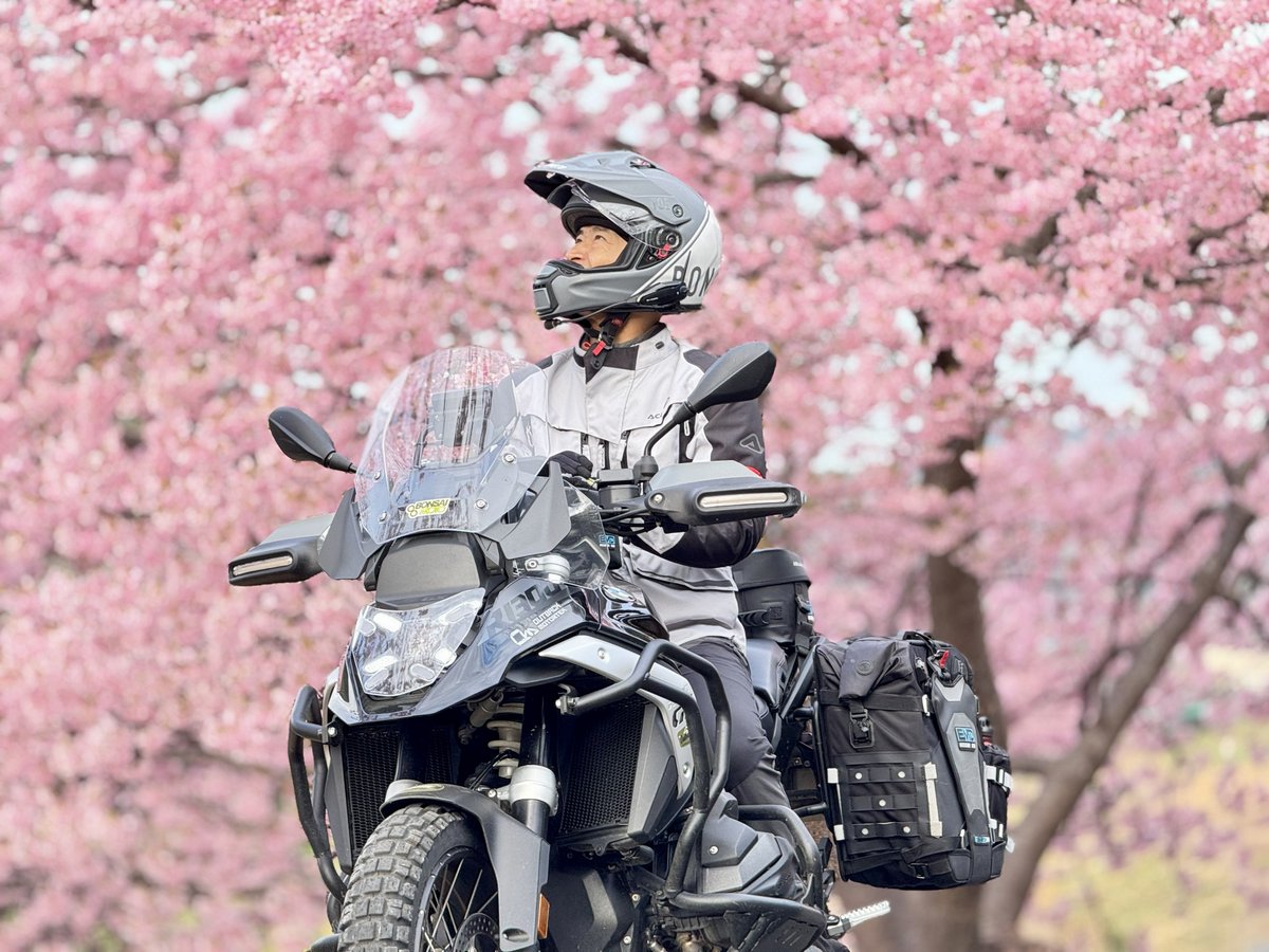 BONSAIMOTO（ボンサイモト） (@bonsaimoto) / Posts / X