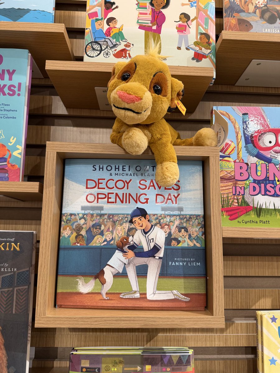lemonpiepls's tweet photo. Washington DCの本屋さんでデコピンの本見つけました🐶✨

#decoy
#decoysavesopeningday
#デコピン https://t.co/tED5yBBOSl