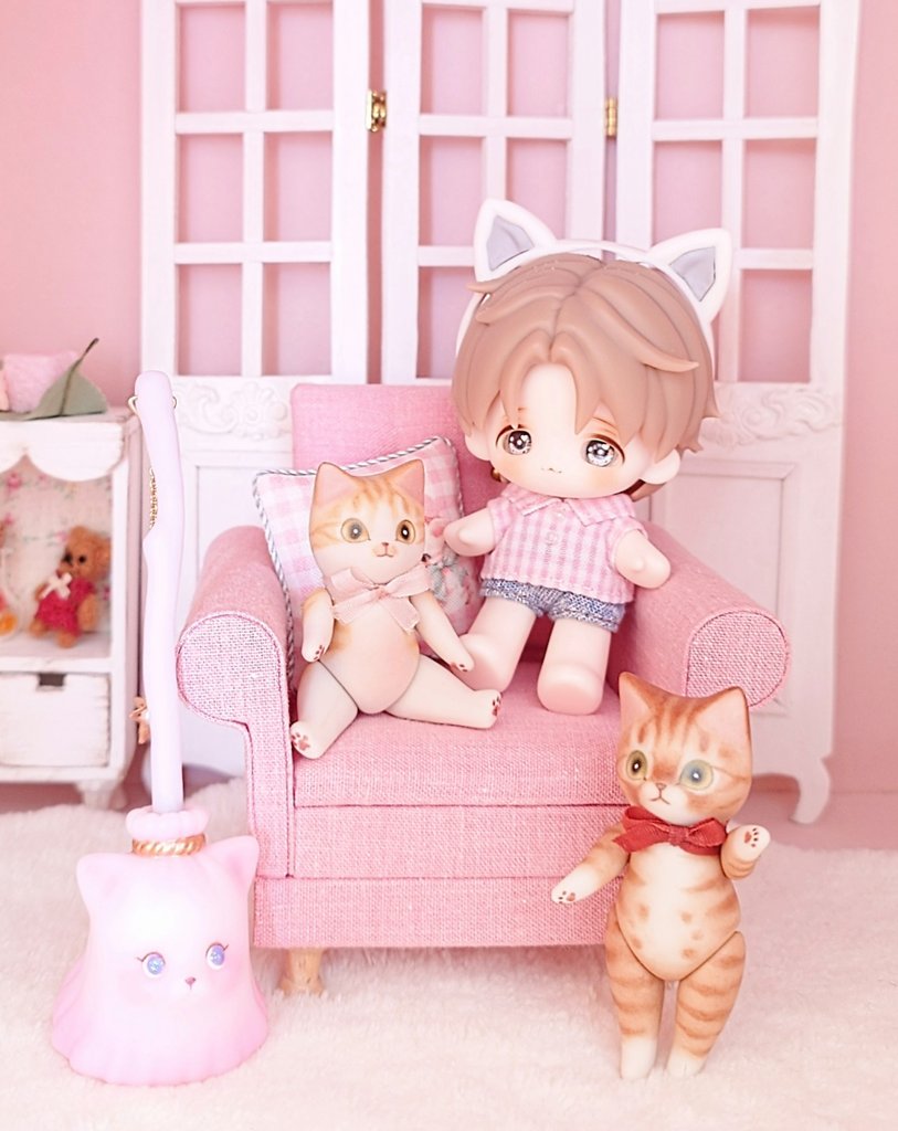 まち Su'Zoo🌗ミニチュアモールベア🧸 (@machisuzu96) / Posts / X