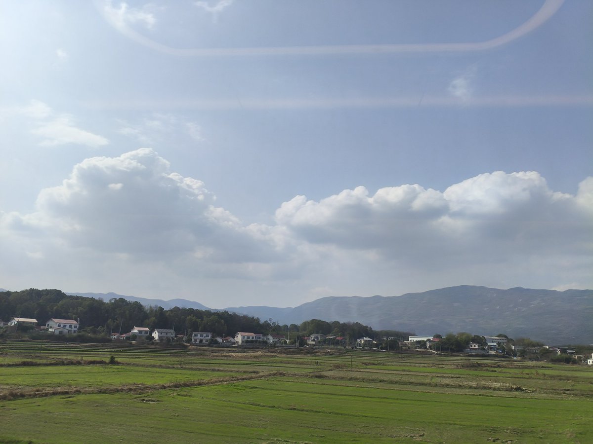 昨日余光 tweet media