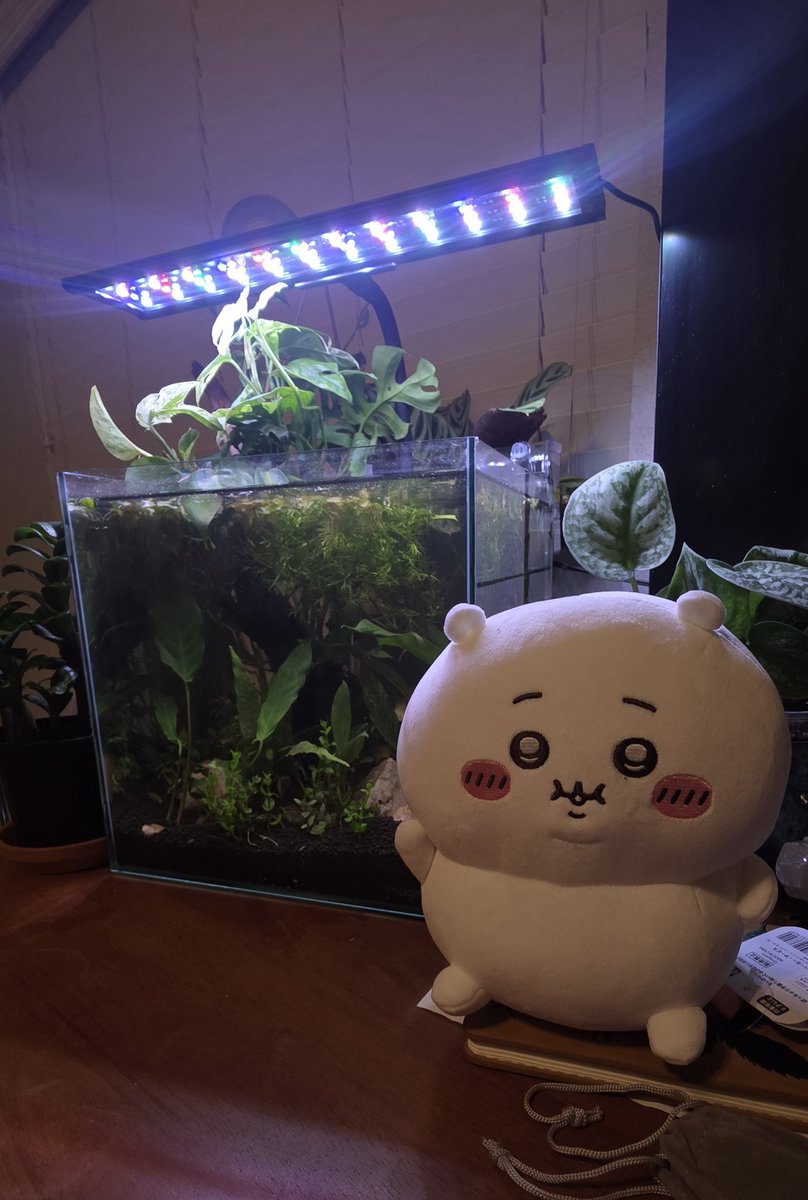 misscxxt tweet media