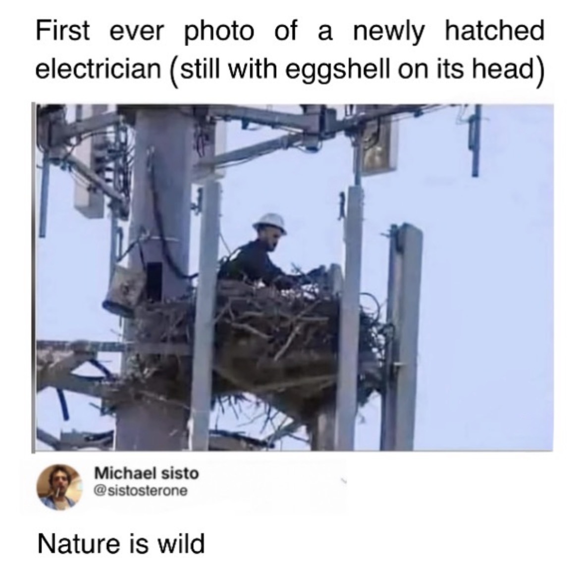 Respectful Memes (@respectfulmemes) on Twitter photo 