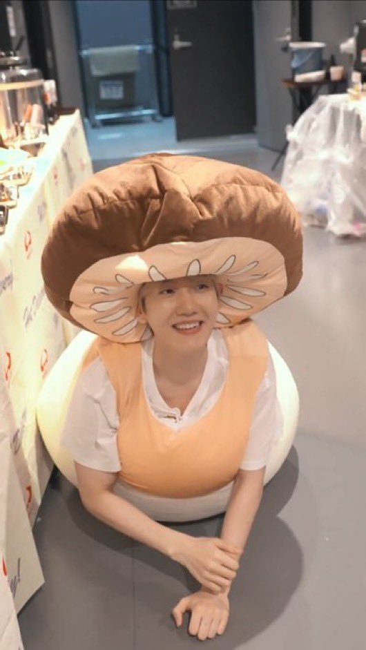 seraglioay's tweet photo. 🍄‍🟫 https://t.co/lODKcrrFyQ