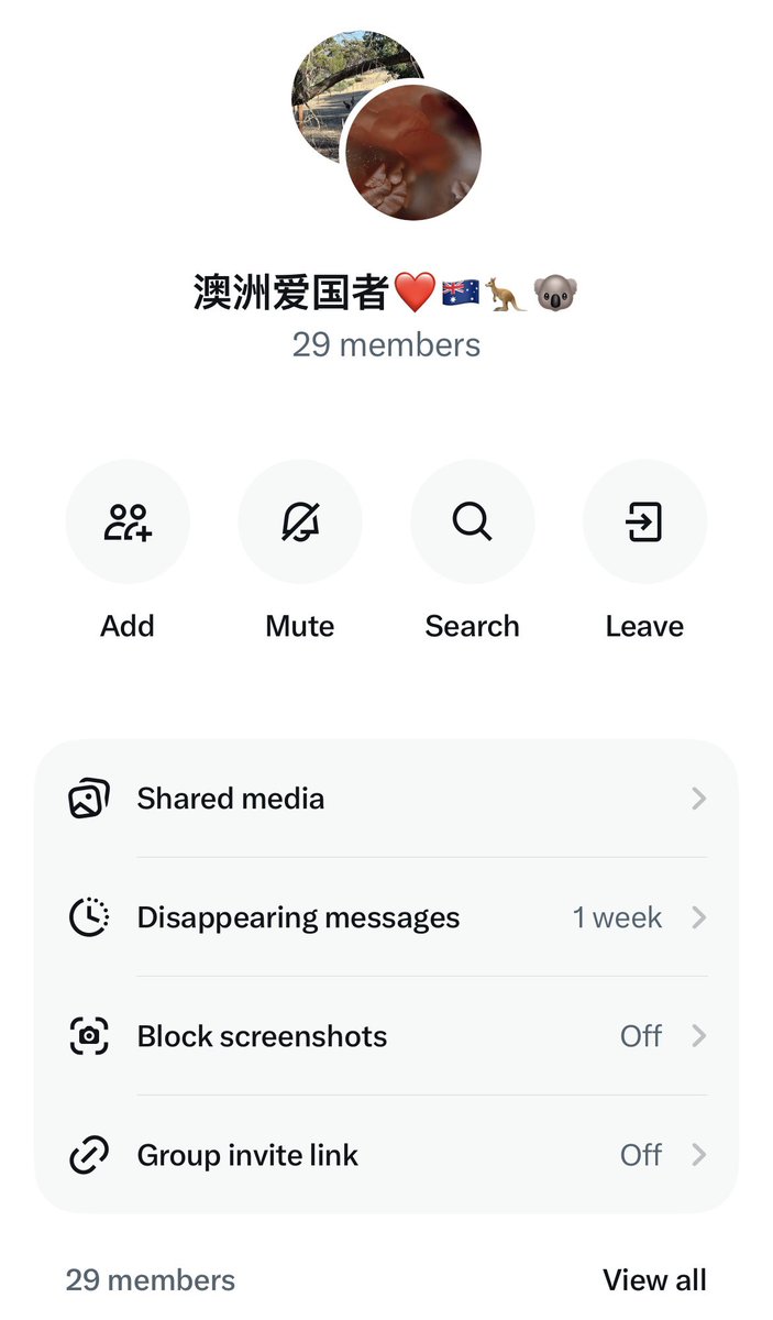 Taotao🇦🇺 tweet media