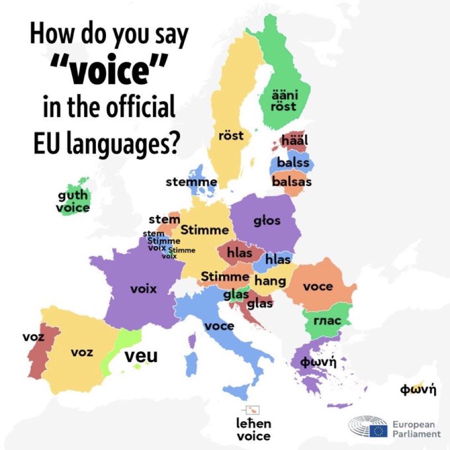 <a href="/Europarl_EN/">European Parliament</a> My mother language is catalan.
And in catalan “voice” is veu.
La veu que a Europa està silenciada.