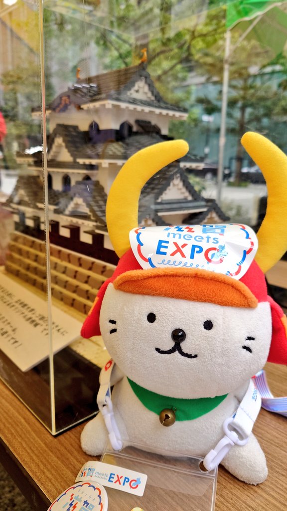 ここ滋賀 忍者の日＆ 猫の日フェス ご来場の皆様ありがとうご