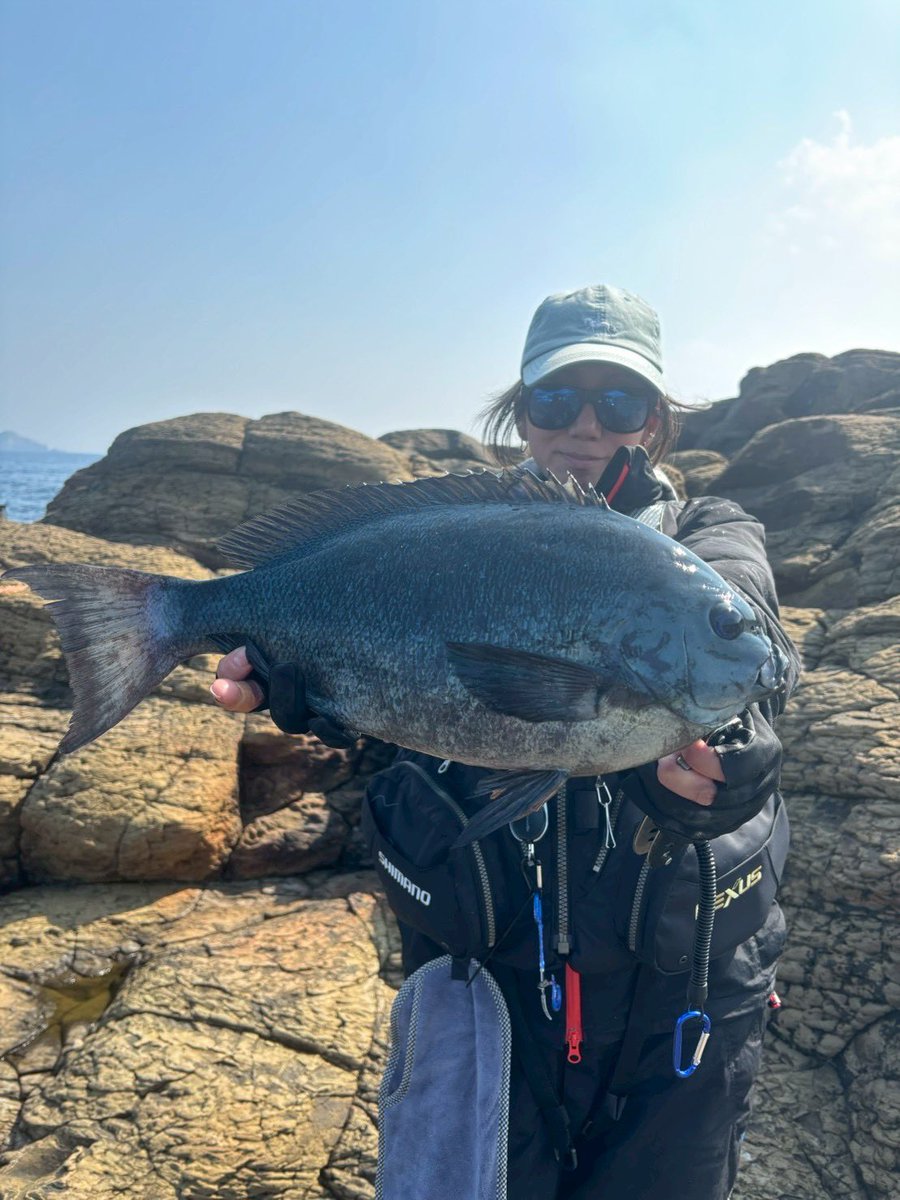 Bi1Ea's tweet photo. でもって初五島
フェリーに乗って宇久島の地磯！

アベレージが30後半から40ちょろ
自己新記録で46センチでした😎

トーナメントM50を使わせてもらいました
細いし軽いなのに浮かせられる
10万の竿はやっぱ違いますね🧐

ヤマトヨテグスのフロロハリス1.75
針はがまかつのアジャストグレ https://t.co/zPgWbNSze4