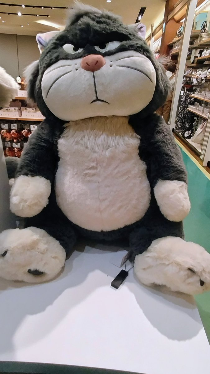 Post by 咲☆固定ピンの確認をお願いします。 on X: #猫の日