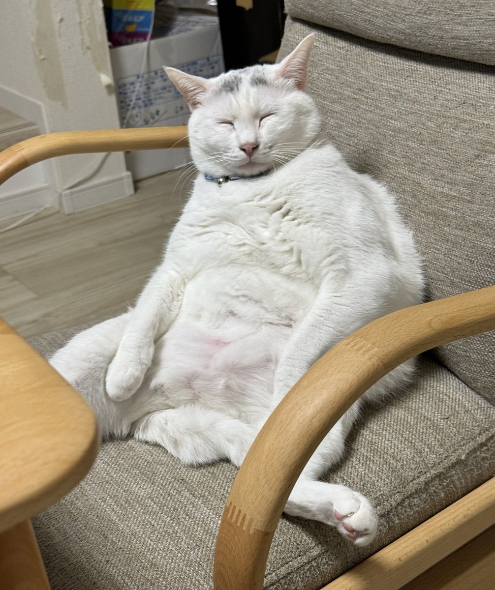 フォトジェニャックだ～～～癒し～～