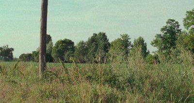 craving for a summer like this