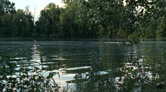 visionsinfilm's tweet photo. craving for a summer like this https://t.co/hxMdLgTwwr