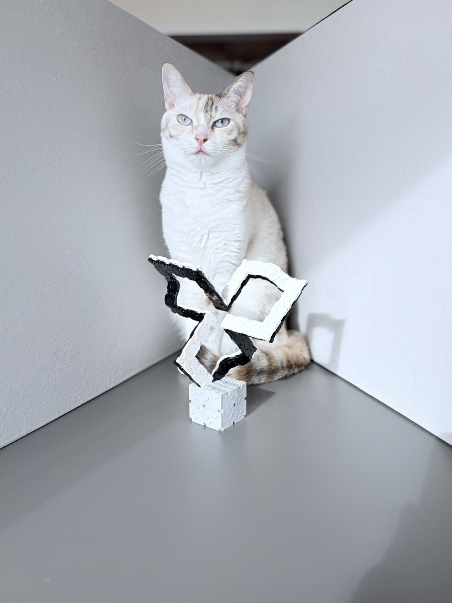 KONISHI Takashige tweet media