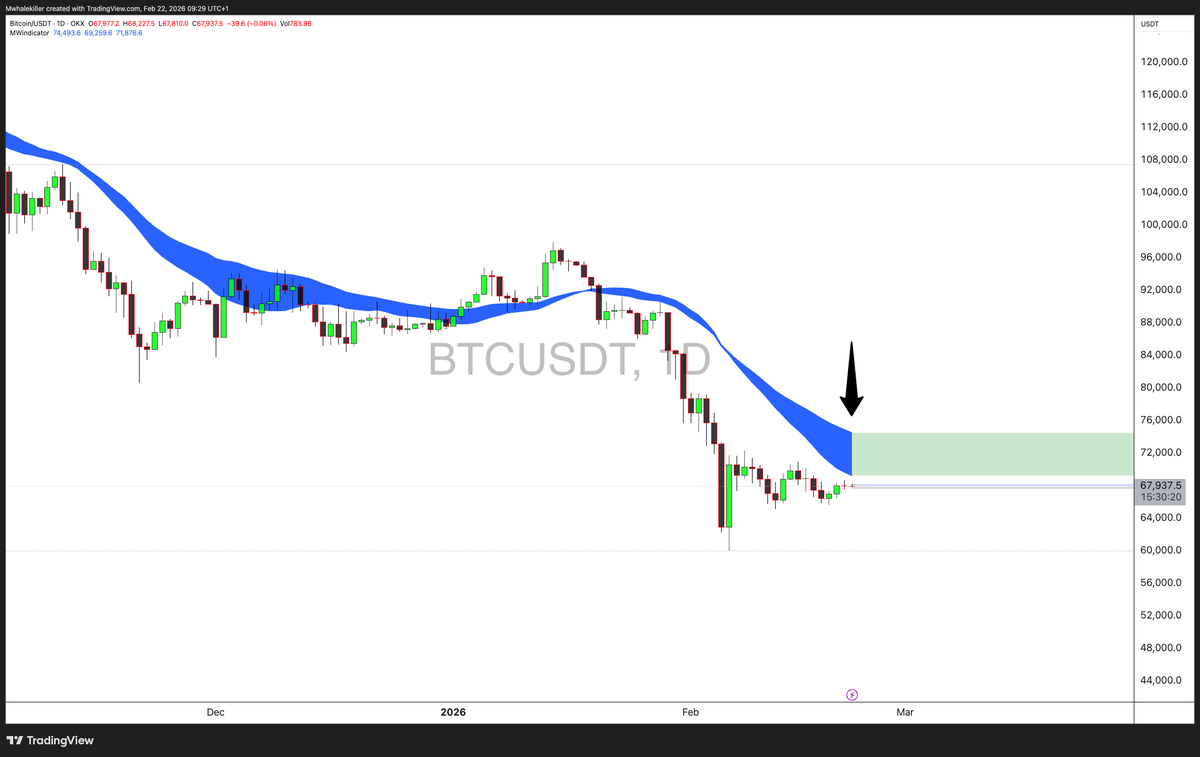 MWhalekiller tweet media