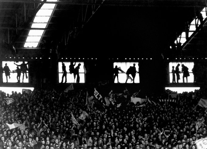 Lisbon Lion tweet media