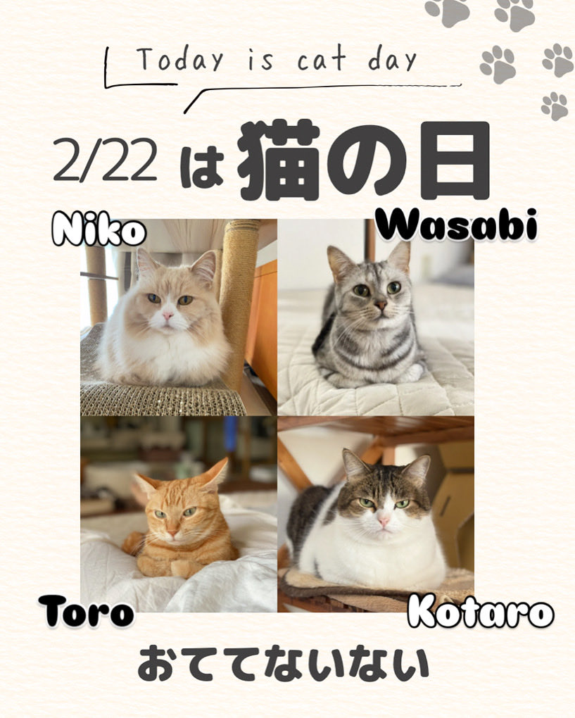 あなたはだれ推しかコメントで教えてにゃ❤️ Which cat do you like?😽💕