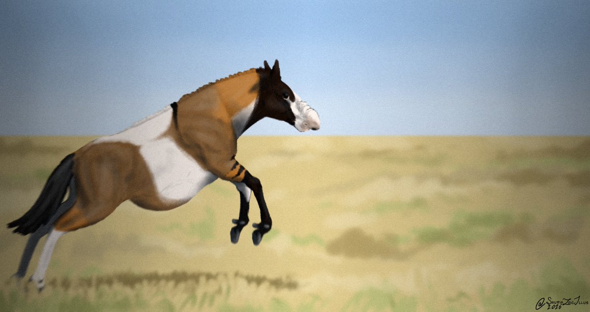 Petite Paleoartist | Sauriazoicillus 🍥 tweet media