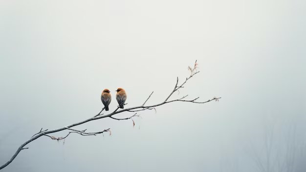 "Halden anlamayan insan, yüktür."