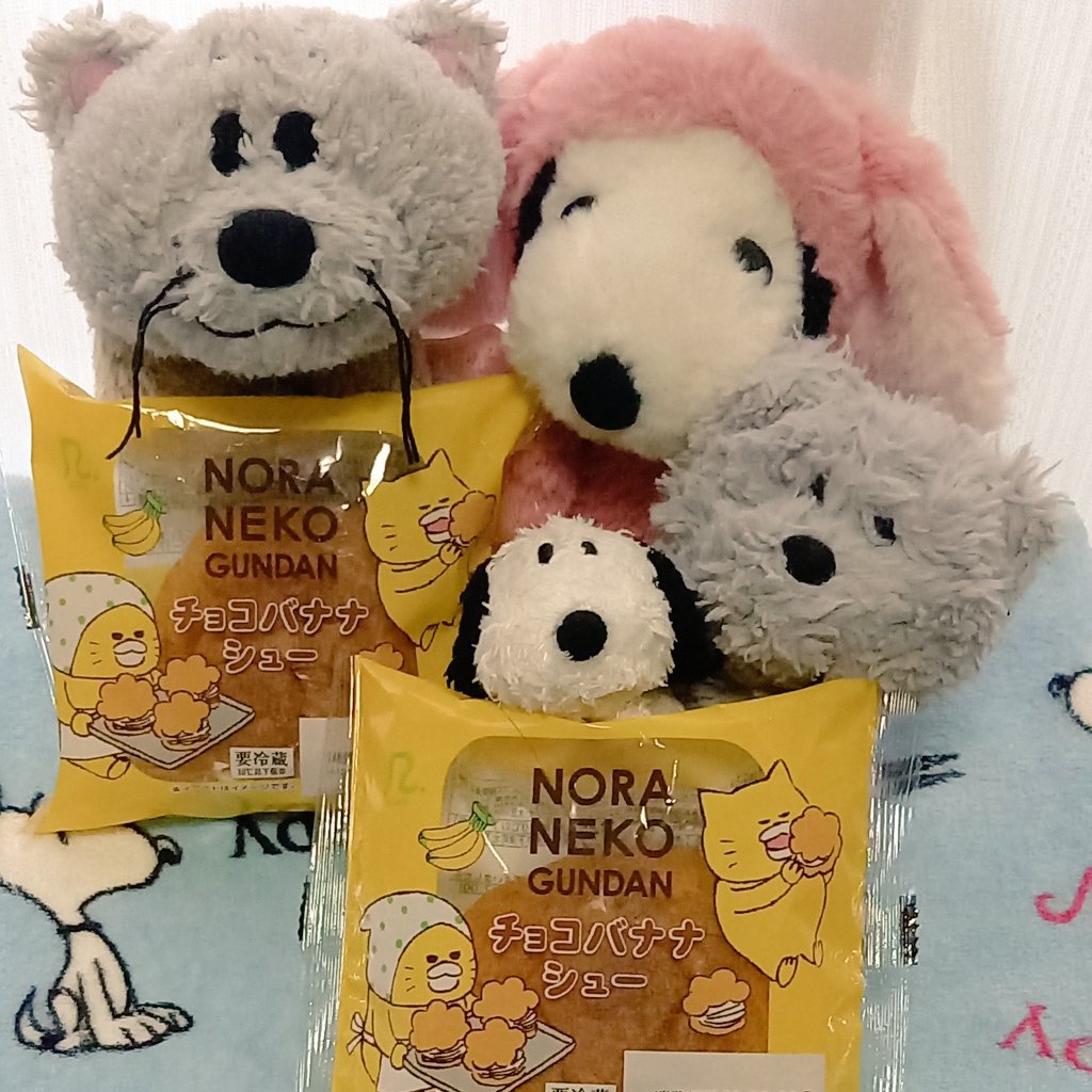 bonelessfaron's tweet photo. 猫の日にうちのファーロンとスヌーピーは仲良くノラネコぐんだんのチョコバナナシューを食べます😸🐶🍫🍌💗
#猫の日 #ぬい撮り #スヌーピー #snoopy #faron https://t.co/ohSaruthxH