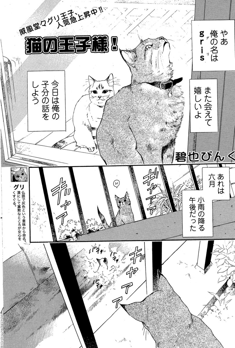 pinkjyoudai's tweet photo. 猫の日なので、むかし描いたうちのこの漫画を再掲しますね
ビビが亡くなったあとに一度流したかな

もう休刊した猫雑誌で連載した、故グリが語りをとった猫エッセイ漫画で、故ビビがうちの子になった時のおはなし

ぜんぶで8ページです
#猫の日

2-1 https://t.co/0Xjl81akyl