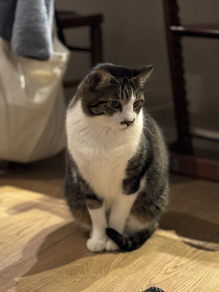 NOVANTIQUA 額装家 (@novantiqua_pf) / Posts / X