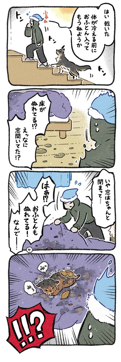 みぞれねこ①
#猫の日 