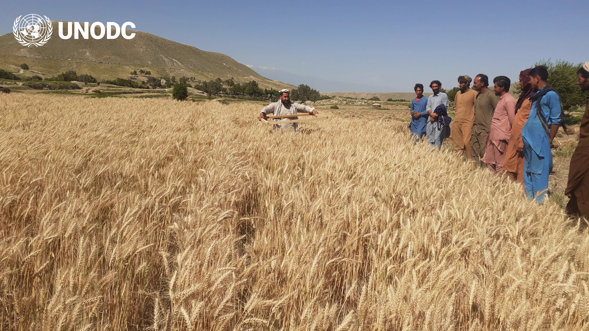 UNODC Afghanistan (@UNODC_COAFG) on X