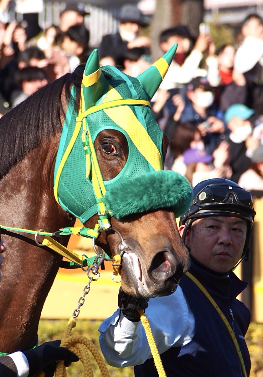 モッちゃん (@nib88vldu) / Posts / X