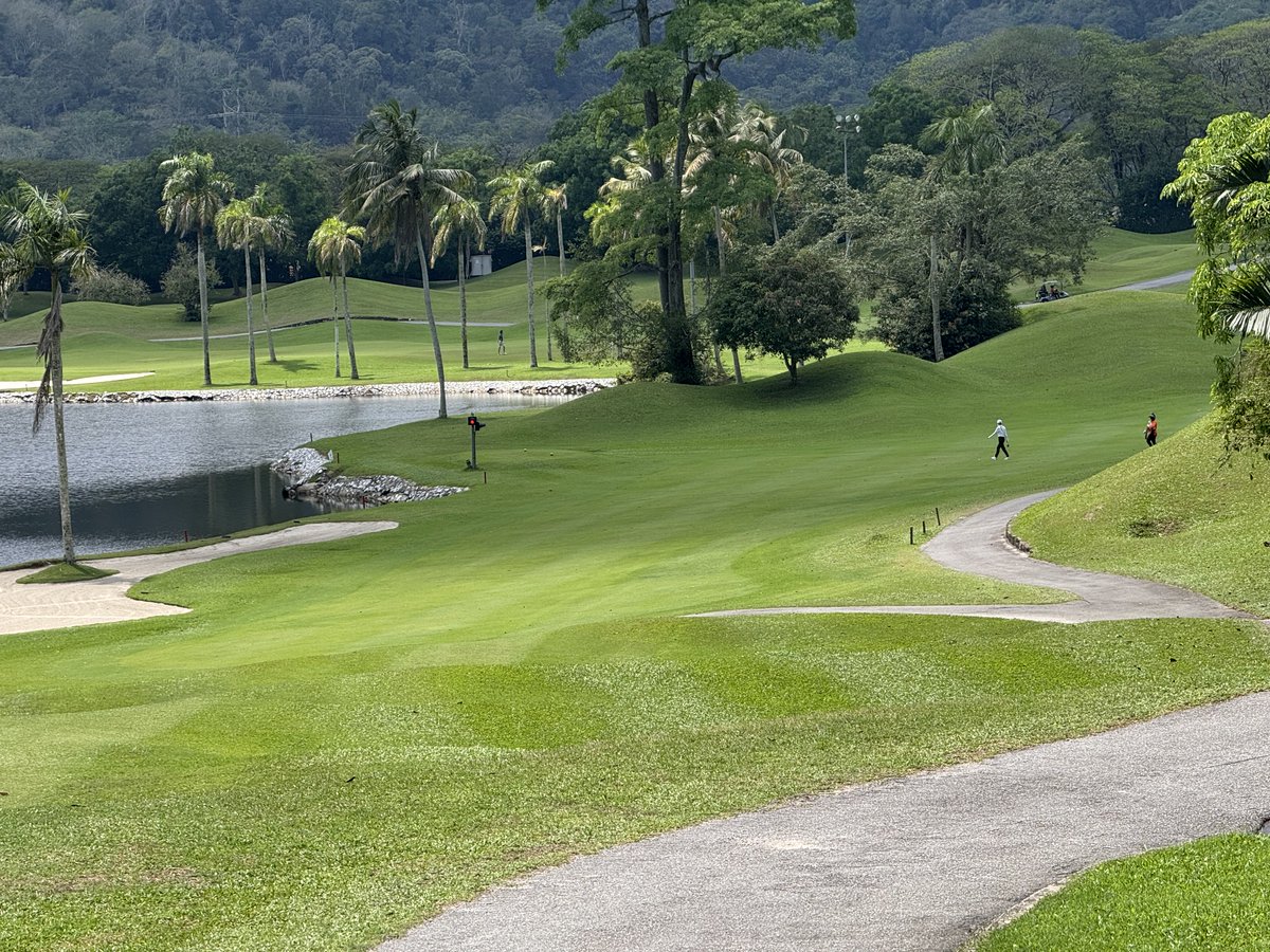 Rex Tattersall tweet media