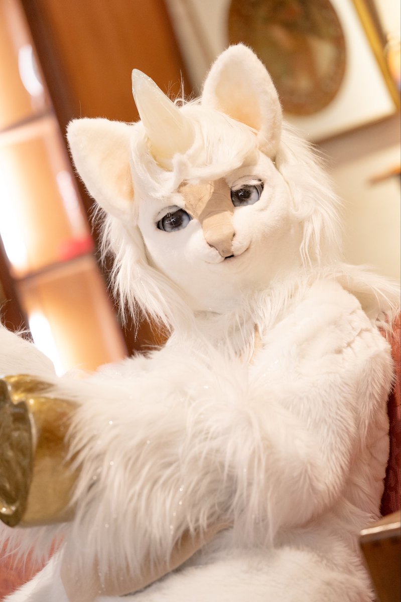 ﾜﾀｸｼを見てますね？👀🦄