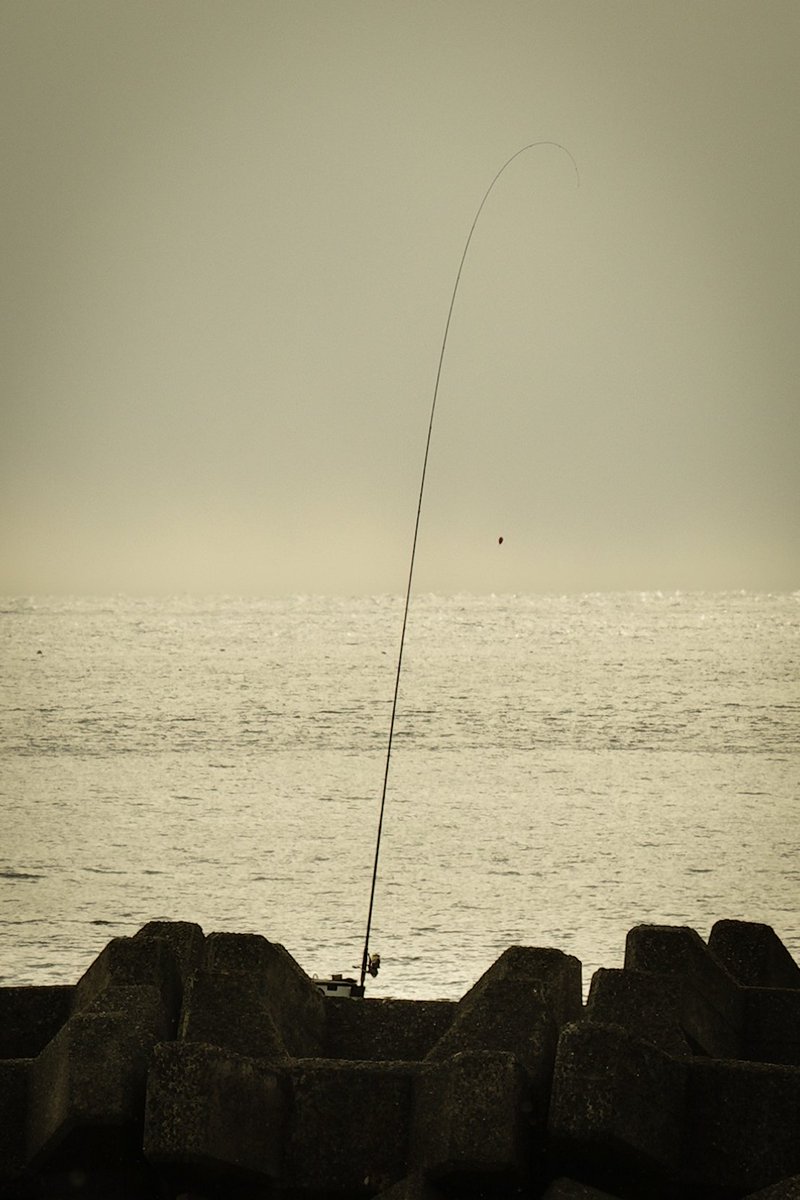 太公望
SIGMA fp L &amp; Lumix S 24-105 F4 Macro O.I.S
#naturephotography #naturelovers #sigmafpl #sigma #beachlife