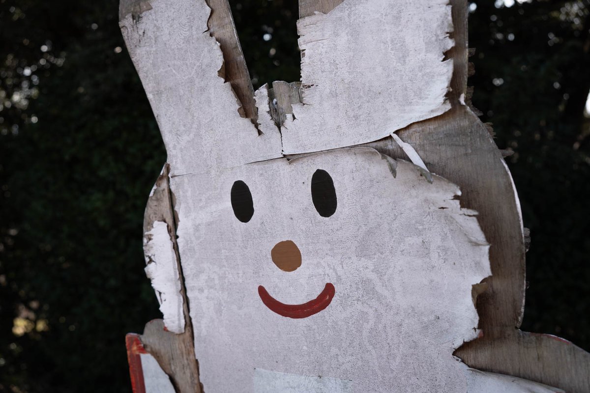 Halloween Queen - Jewel (Check bio for alt sites!) tweet media