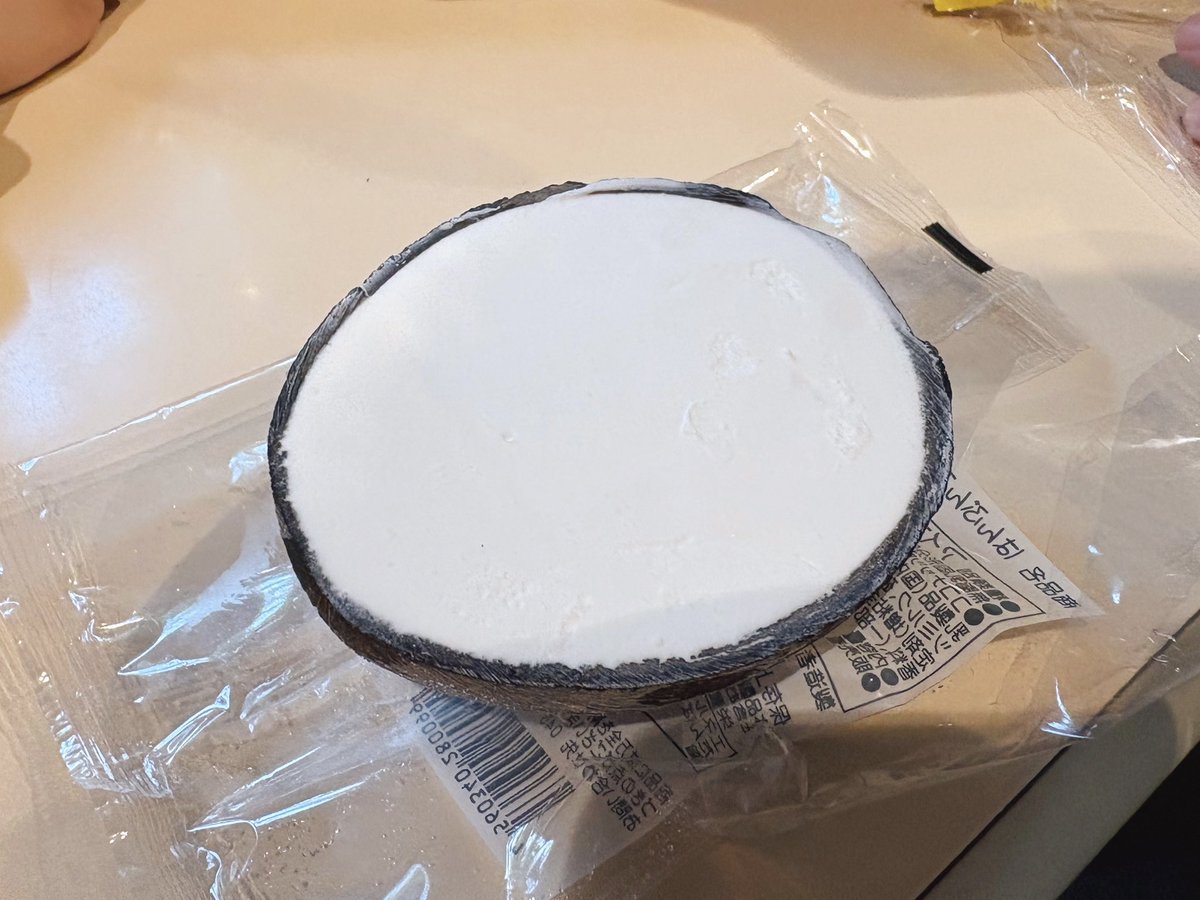 夢の島熱帯植物園へ。滝や小道、どこに続くか分からない階段があって、子供たちは探検気分ではしゃいでいて思ったよりも長いこと滞在した。入場料250円とは思えない迫力。眺めのいい無料のカフェでココナッツのアイスも食べた🥥