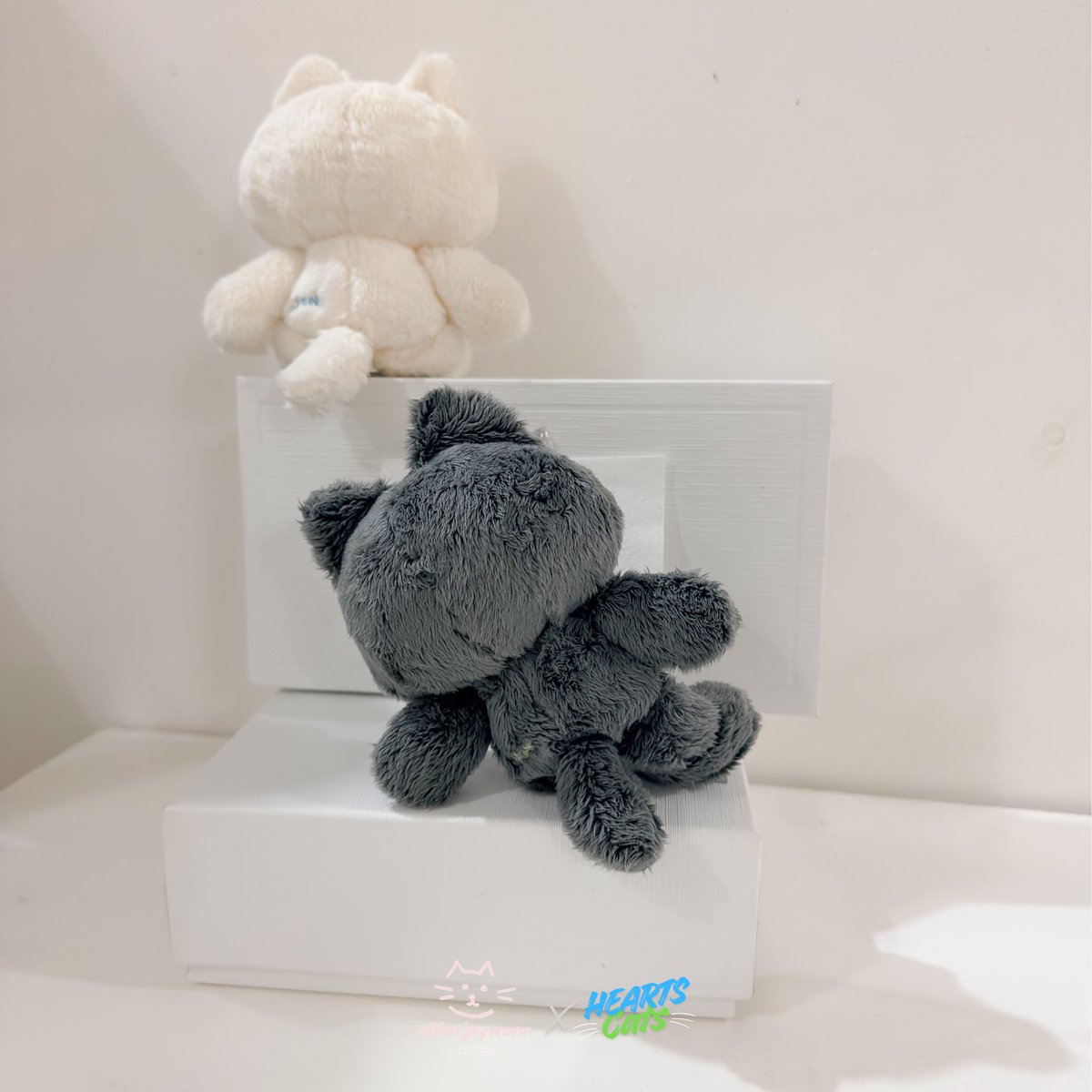 𝘛𝘩𝘦 𝘬𝘪𝘵𝘵𝘪𝘦𝘴 𝘸𝘪𝘭𝘭 𝘣𝘦 𝘶𝘱 𝘧𝘰𝘳 𝘢𝘥𝘰𝘱𝘵𝘪𝘰𝘯 𝘷𝘦𝘳𝘺 𝘴𝘰𝘰𝘯~ 💌
#Heartcats #Jjungmeow #Jjongmeow