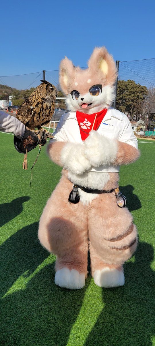 라유🔜집 tweet media