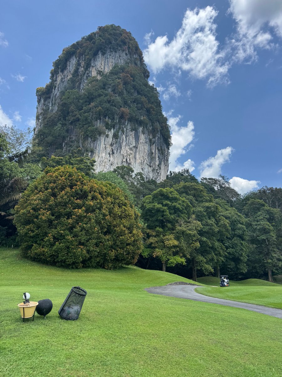 Rex Tattersall tweet media