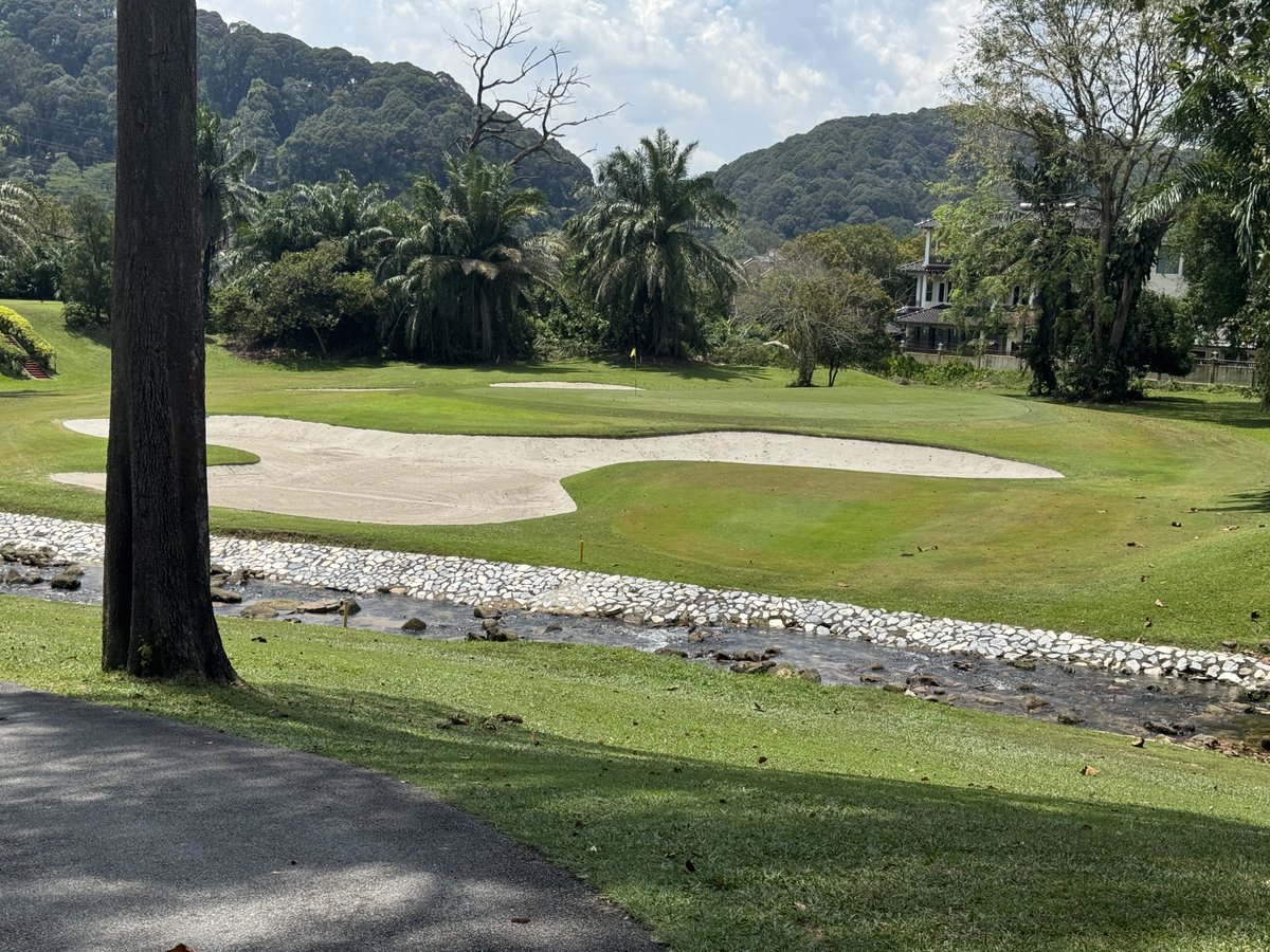 Rex Tattersall tweet media