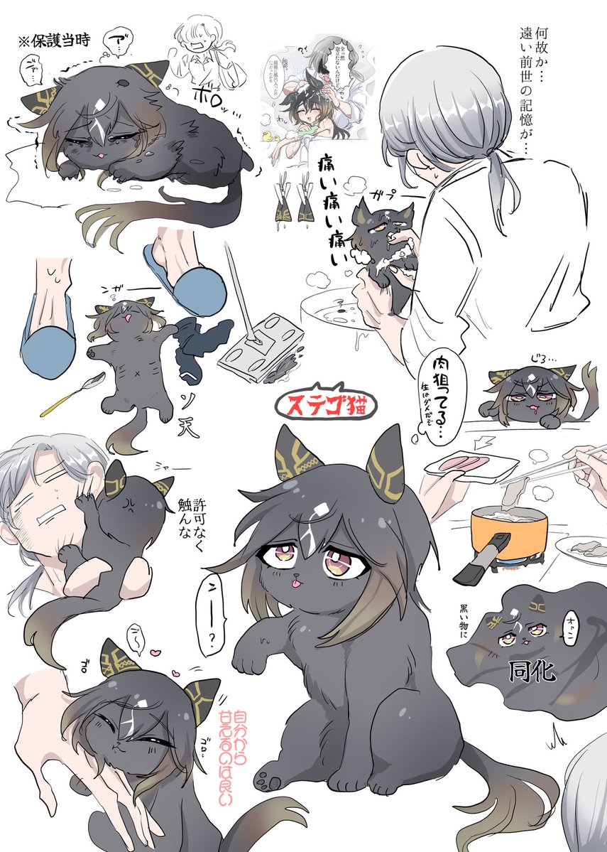 ステゴ猫概念
#猫の日 