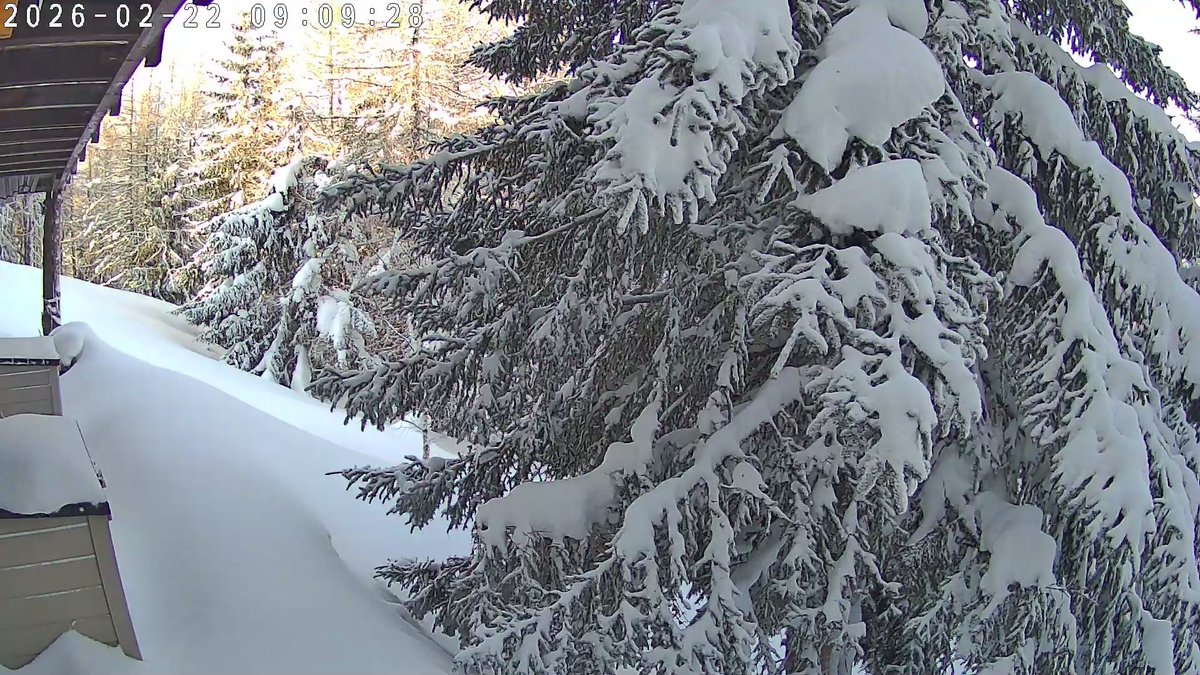 Johanns (Alpen)weer @johannsalpenweer.bsky.social tweet media