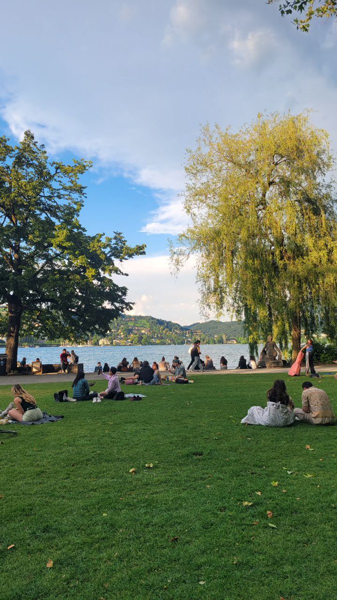 징멘 zingmen tweet media