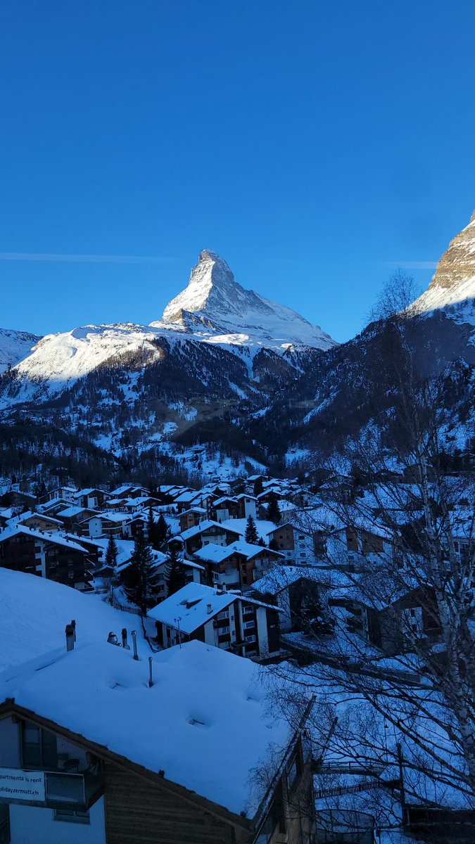 징멘 zingmen tweet media