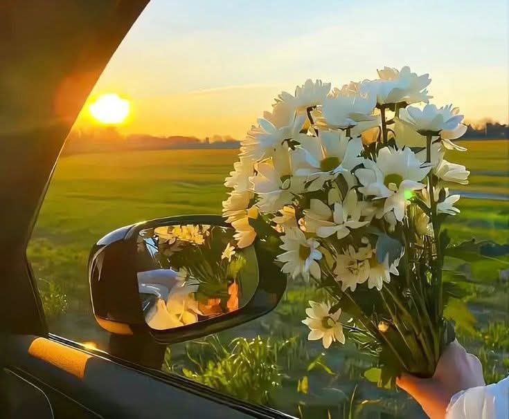 Gd Afternoon... 💫😍

Do you like flowers...??