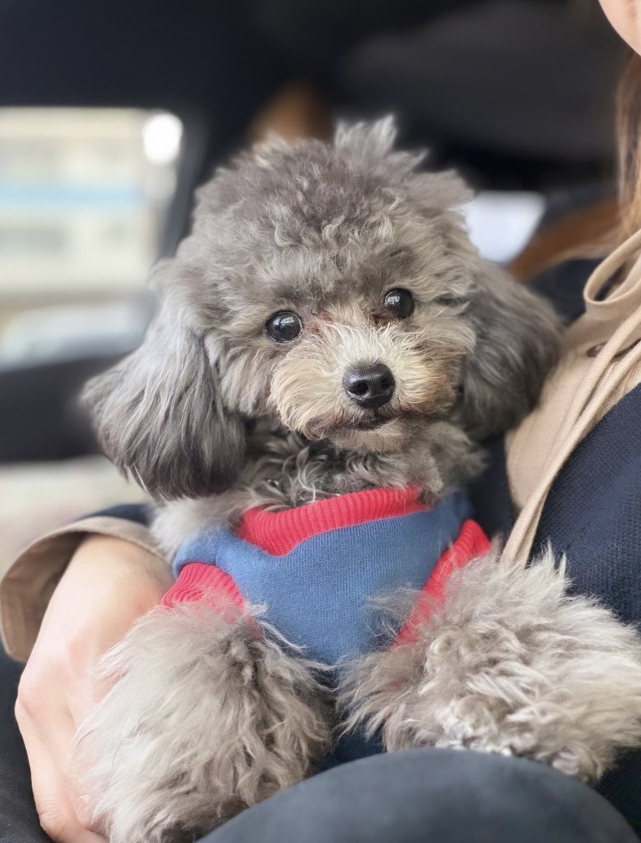 まL"ｶヽ tweet media