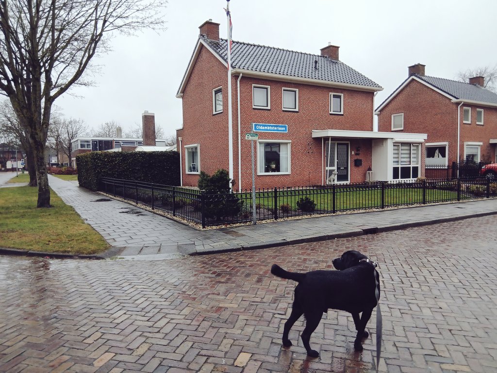 Roelf Koning tweet media