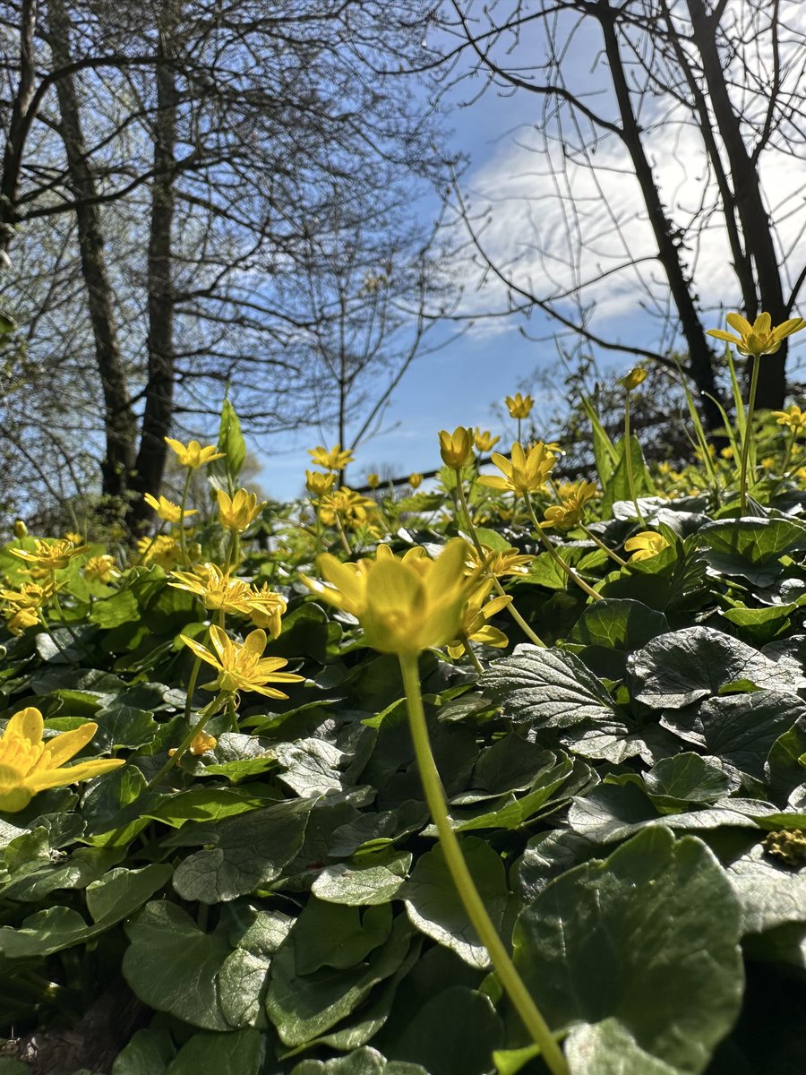 Cazlar 📚💙 tweet media