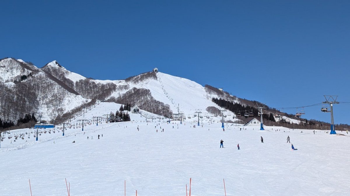 _aoken's tweet image. 暑すぎます