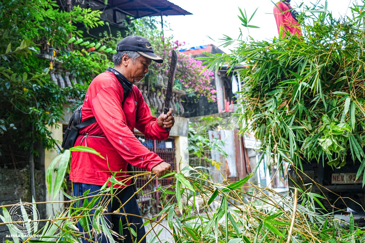 valenzuelacity's tweet photo. Upang mapanatiling malinis at maayos ang #ValenzuelaCity, isinagawa ang 𝙏𝙖𝙨𝙠 𝙁𝙤𝙧𝙘𝙚 𝙆𝙖𝙡𝙞𝙣𝙞𝙨𝙖𝙣: 𝙊𝙥𝙡𝙖𝙣 𝙇𝙞𝙣𝙞𝙨 𝙂𝙖𝙣𝙙𝙖, Pebrero 21, 2026, sa Zone 2, Brgy. Palasan.

Kabilang sa mga serbisyong isinagawa ay ang mga sumusunod:
✅ Declogging
✅ Defogging
✅ Flushing
✅ Animal Control
✅ Waste Management
✅ Grass Cutting
✅ Tree Trimming
✅ Wall Repainting
✅ Obstruction Demolition
✅ Linis Ganda Cable Management
✅ Clean-up Operations

Sa pagsisikap ng ating mga lokal na opisyal, patuloy ang ating laban para sa malinis at maayos na Valenzuela City. 🌱