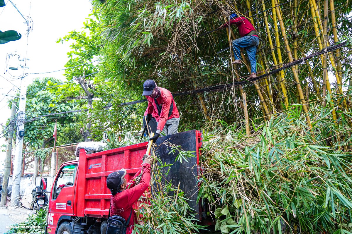 valenzuelacity's tweet photo. Upang mapanatiling malinis at maayos ang #ValenzuelaCity, isinagawa ang 𝙏𝙖𝙨𝙠 𝙁𝙤𝙧𝙘𝙚 𝙆𝙖𝙡𝙞𝙣𝙞𝙨𝙖𝙣: 𝙊𝙥𝙡𝙖𝙣 𝙇𝙞𝙣𝙞𝙨 𝙂𝙖𝙣𝙙𝙖, Pebrero 21, 2026, sa Zone 2, Brgy. Palasan.

Kabilang sa mga serbisyong isinagawa ay ang mga sumusunod:
✅ Declogging
✅ Defogging
✅ Flushing
✅ Animal Control
✅ Waste Management
✅ Grass Cutting
✅ Tree Trimming
✅ Wall Repainting
✅ Obstruction Demolition
✅ Linis Ganda Cable Management
✅ Clean-up Operations

Sa pagsisikap ng ating mga lokal na opisyal, patuloy ang ating laban para sa malinis at maayos na Valenzuela City. 🌱